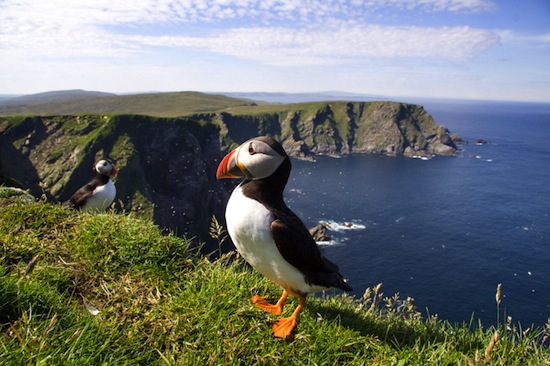 Explore the Shetland Islands | Scottish Tourism Websites | Great ...